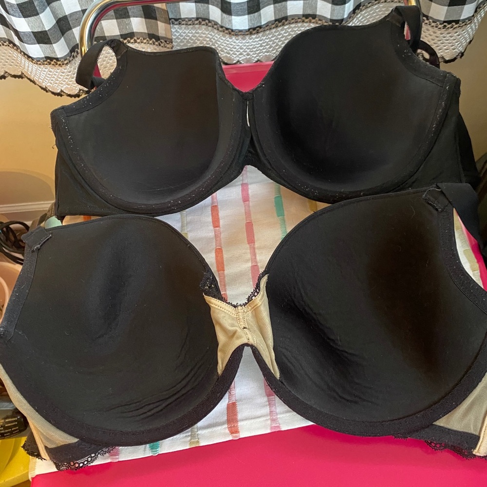 Lane Bryant and Torrid bras
